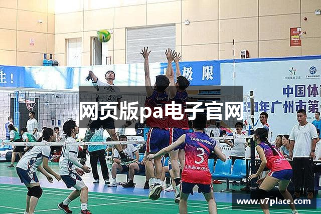 网页版pa电子官网